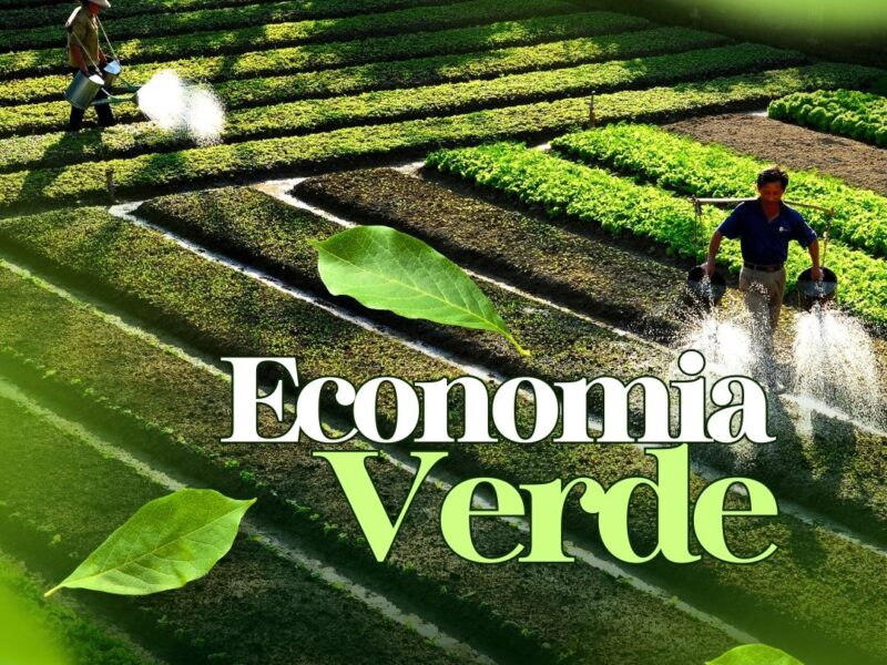 A Economia Verde: O Caminho Sustentável para o Futuro